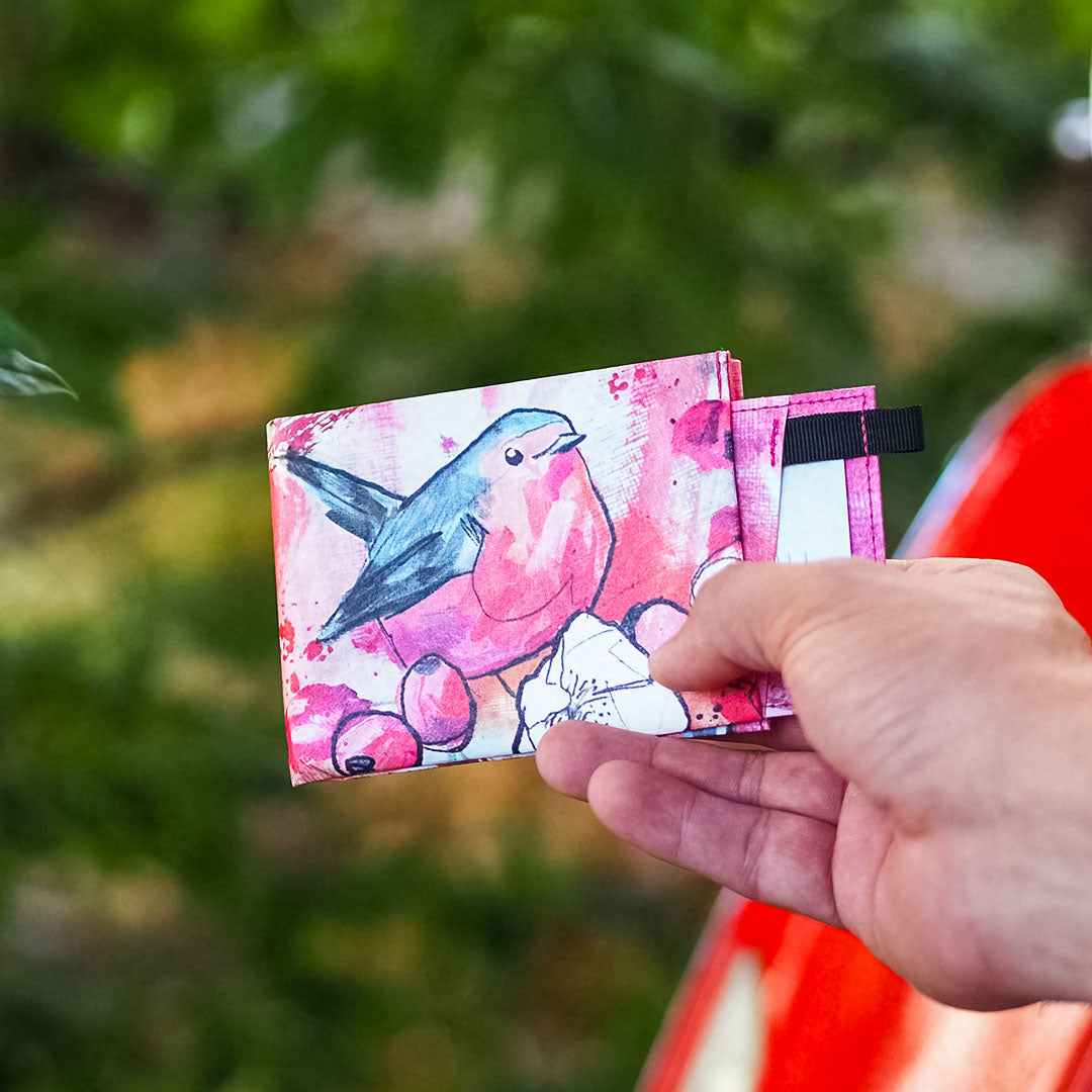 Curious Redbreast | Jules Boho Koop